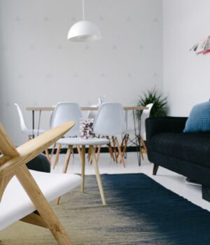 Gadget Ogling: Amazon on Fire, Virtual Reality, True Nature and Energy Relief